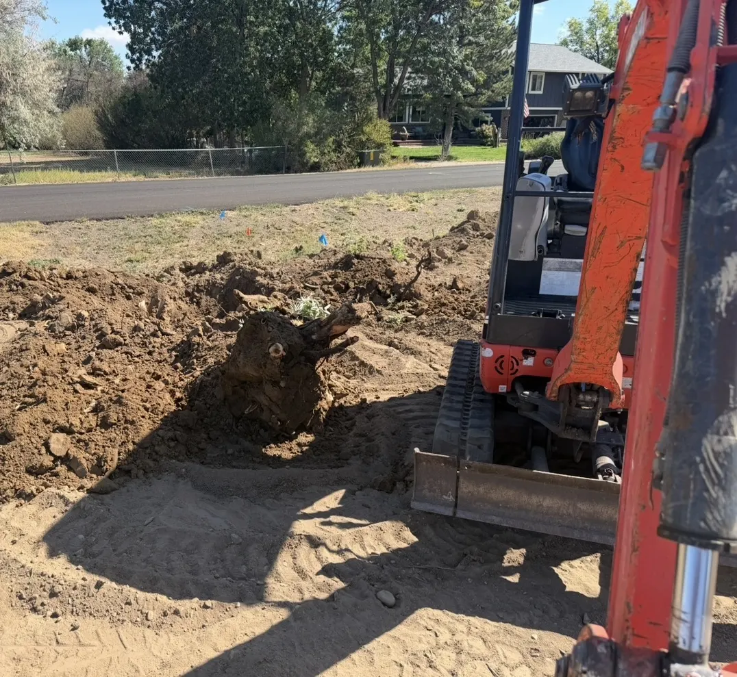 Kubota mini excavator lifting a stump and root ball out of the ground